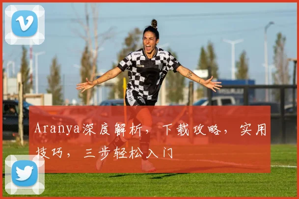 Aranya深度解析，下载攻略，实用技巧，三步轻松入门