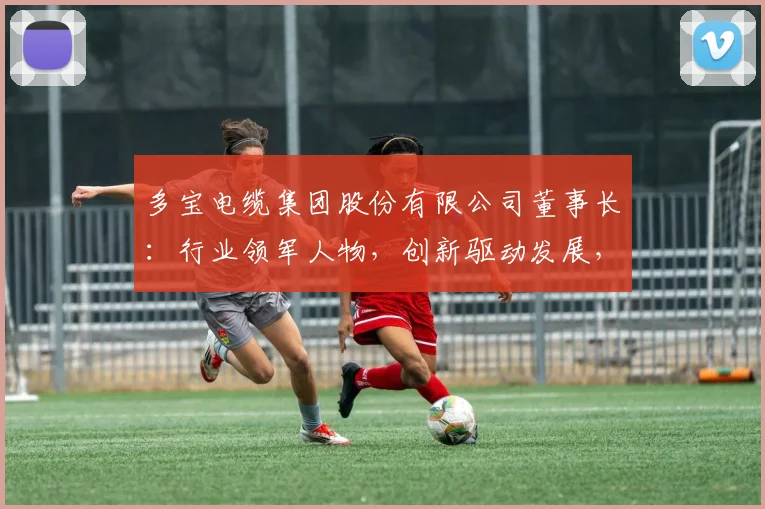多宝电缆集团股份有限公司董事长：行业领军人物，创新驱动发展，引领产业升级之路