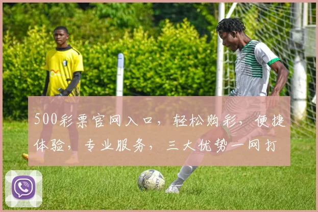 500彩票官网入口，轻松购彩，便捷体验，专业服务，三大优势一网打尽，不容错过