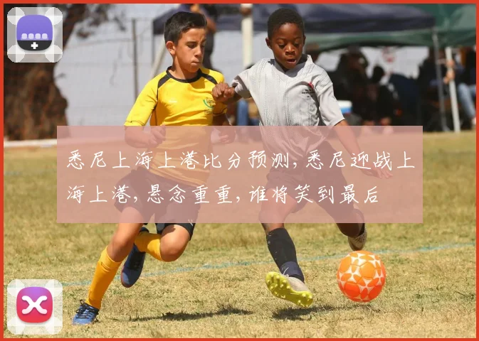 悉尼上海上港比分预测,悉尼迎战上海上港,悬念重重,谁将笑到最后