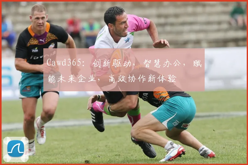 Cawd365：创新驱动，智慧办公，赋能未来企业，高效协作新体验